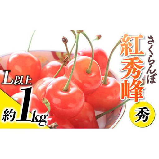 【令和9年産先行予約】 さくらんぼ 「紅秀峰」 約1kg (秀 L以上) バラ詰め 《令和9年6月下旬～発送》 『生産者おまかせ』 サクランボ 果物 フルーツ 産地直送 生産農家直送 山形県 南陽市 [887]