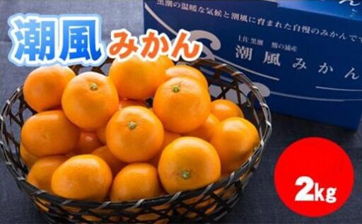 商標登録 潮風みかん 2kg 高知県 黒潮町産［1398-2］