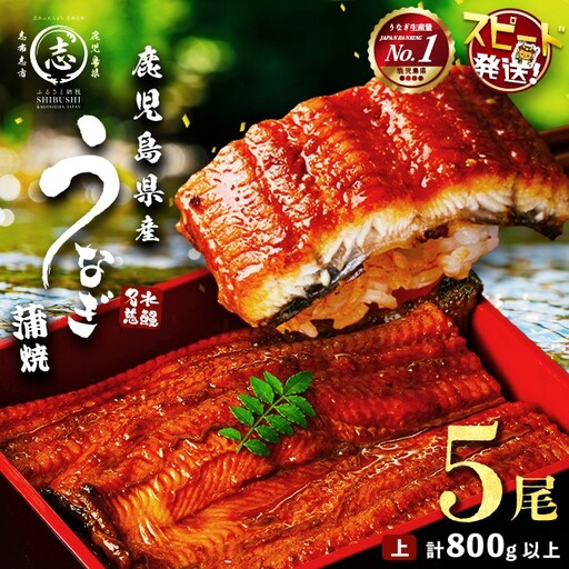 うなぎ 国産 蒲焼 名水慈鰻 5尾（800g) うなぎセット b8-043
