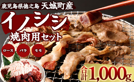 [鹿児島徳之島]イノシシ 焼肉用 セット1kg ジビエ ロース サイコロ バラ AI-16-N