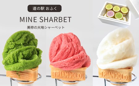 「 道の駅おふく 」 手作りシャーベット