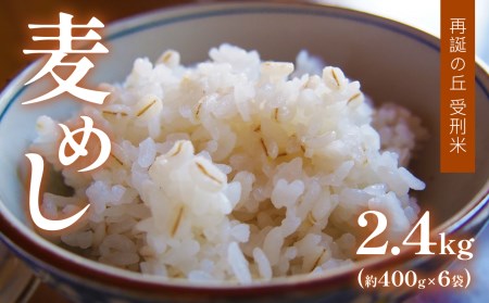再誕の丘 受刑米 麦めし