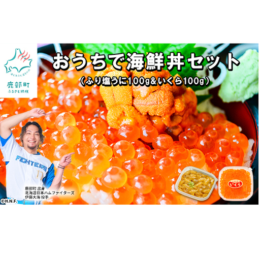 ふり塩うに100g＆いくら100g おうちで海鮮丼セット 北海道