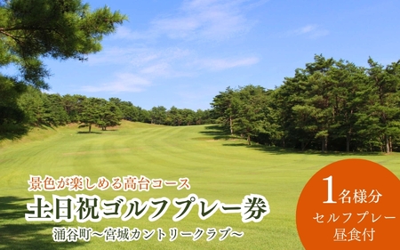 土日祝 ゴルフプレー券 1名様 (セルフプレー・昼食付)[miyagicc001]