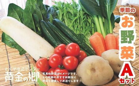 黄金の郷 季節のお野菜お楽しみAセット ◇| 野菜・セット・詰合せ ※配送不可地域あり[aubless001]