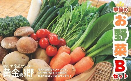 黄金の郷 季節のお野菜お楽しみBセット ◇| 野菜・セット・詰合せ・野菜・きのこ ※配送不可地域あり[aubless002]