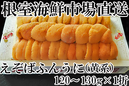 エゾバフンウニ(黄系)約120～130g×1折 B-14049