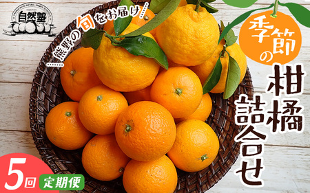 【5回定期便】みかん 自然塾 季節の柑橘詰合せ みかん【szjk-tkb0004】