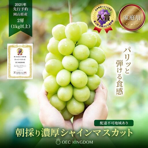 ぶどう 2026年 先行予約 [ご家庭用] シャイン マスカット 2房(合計1kg以上) ブドウ 葡萄 岡山県産 国産 フルーツ 果物 OEC KINGDOM ぶどう家 果物類