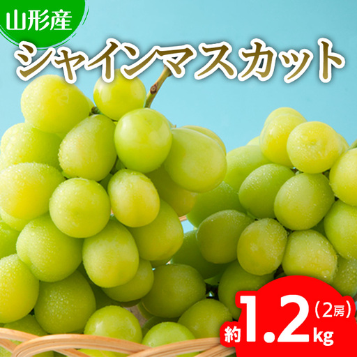 ぷりぷりのシャインマスカット 2房 約1.2kg(1房500g～700g) 【令和8年産先行予約】FU22-743 くだもの 果物 フルーツ 山形 山形県 山形市 2026年産