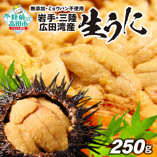 [先行予約] 生うに 250g 無添加 塩水パック 生うに