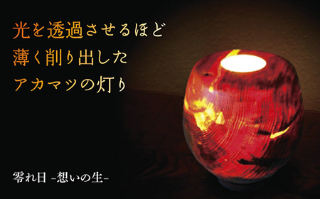 零れ日-想いの生-