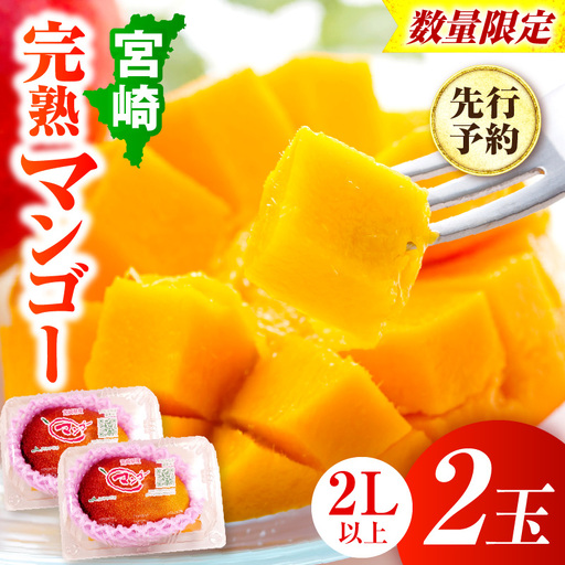 [先行予約][数量限定]宮崎完熟マンゴー 2L×2玉(350g〜449g以上×2玉)