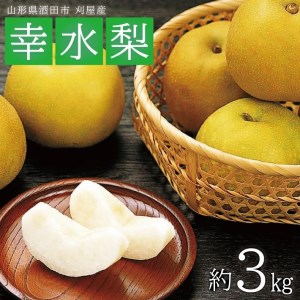 SA2926　酒田の果物専門店厳選　刈屋産 幸水梨　約3kg(7～9玉入)
