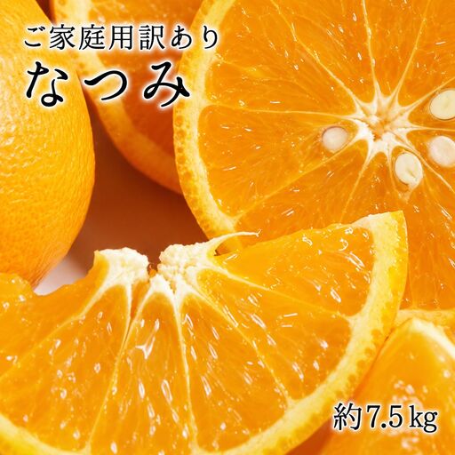 【ご家庭用訳アリ】初夏のみかん なつみ7.5kg　※2027年4月中旬頃～2027年4月末頃に順次発送予定(お届け日指定不可)【uot733A】