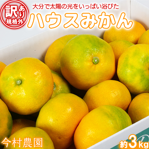 [訳あり 規格外品] ハウスみかん 約3kg [今村農園]夏 果物 フルーツ 数量限定 期間限定 九州 大分県 [107-001]