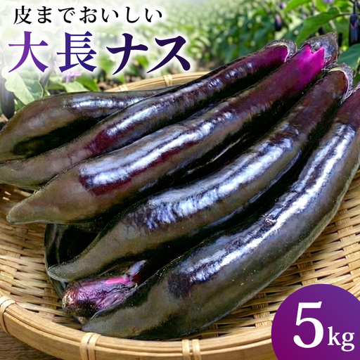BF004【令和8年度出荷分】皮までおいしい！島原 大長ナス 5kg
