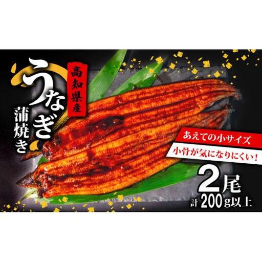 [ うなぎ蒲焼 ] 国産うなぎ蒲焼 2尾
