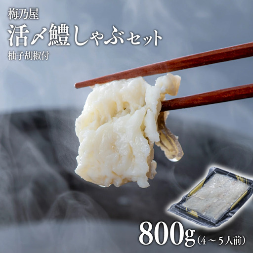鱧 活〆鱧しゃぶしゃぶセット800g(4~5人前)