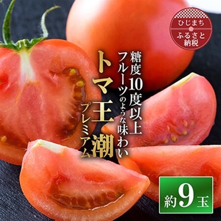 2027年1月下旬から順次発送【糖度10度以上】高糖度トマト 「トマ王潮プレミアム」約9玉～_野菜  トマト _【配送不可地域：離島】【1087104】