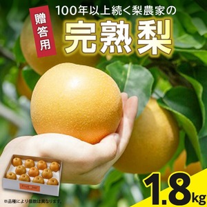 ※贈答用※[フルトリエ]100年以上続く梨農家の完熟梨小箱(1.8kg)_[贈答用]梨 1.8kg 幸水 豊水 あきづき 新高 甘太 王秋 完熟 いずれか1種類 フルトリエ 中村果樹園 100年続くフルーツ農家 発送当日の朝に収穫 福岡県 久留米市 お取り寄せ フルーツ 果物 ギフト 贈り物 送料無料 〔Fn102〕