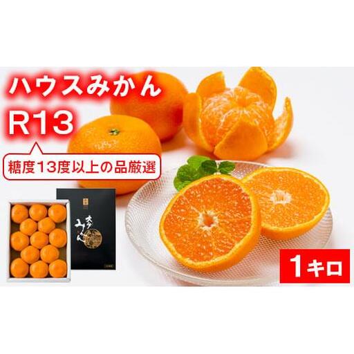 【糖度13度以上！】ハウスみかん 温室みかん ミカン ハウスミカン 温室ミカン 贈答用 1kg 秀品 ギフト ／ プレミアムハウスみかんR13 1kg 化粧箱入 ＜132-013＞