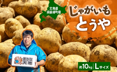 北海道産 青野農園 じゃがいも とうや Lサイズ 約10kg 2026年10月初旬〜12月下旬頃お届け 先行予約 北海道 ジャガイモ トウヤ 馬鈴薯 ポテト 芋 いも イモ 黄色 旬 野菜 農作物 産地直送 お取り寄せ 国産