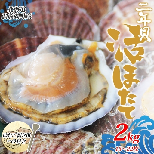 北海道産 活ほたて 2年貝 約2kg 15枚〜22枚 2027年1月中旬以降水揚げ次第出荷 ほたて 帆立 ホタテ 生 貝 魚貝 魚介 海産 海鮮 貝柱 噴火湾 刺身 送料無料 北海道 洞爺湖町