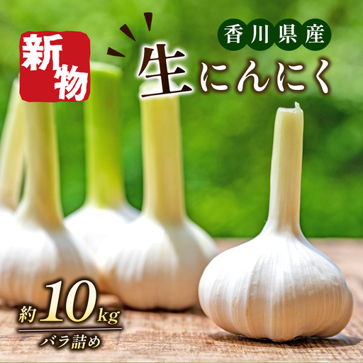 にんにく 生 香味野菜 五色青果 にんにく【約10kg バラ詰め】 【46312208】