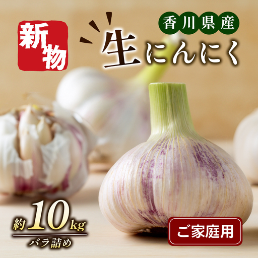 にんにく 生 家庭用 不揃い 香味野菜 にんにく【約10kg バラ詰め】 【46312207】