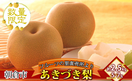 梨 フルーツの里の直売所より あきづき梨 2.5kg ナシ 果物 先行予約 子供 おやつ くだもの