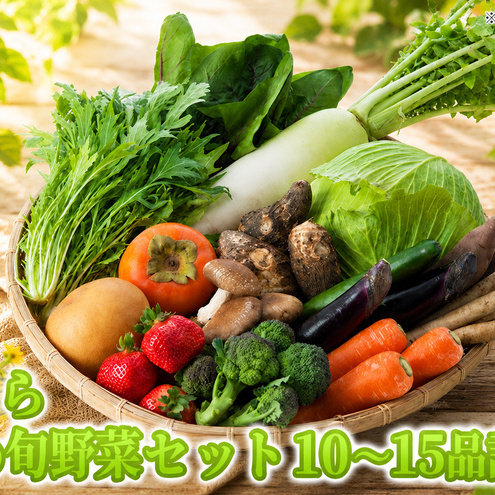 野菜セット おまかせ 10〜15種 旬 朝倉市産 野菜セット