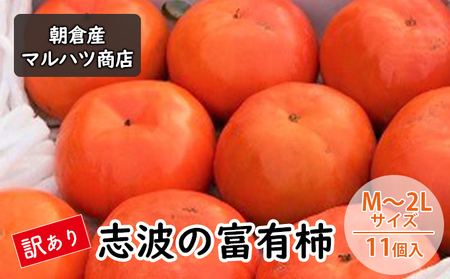 訳あり 柿 志波の富有柿 M〜2Lサイズ×11個入 マルハツ商店 果物類 かき
