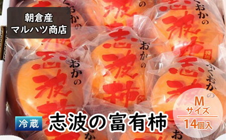 柿 冷蔵 志波の富有柿 Mサイズ×14個入 マルハツ商店 配送不可:離島 果物類 かき