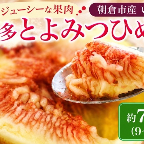 いちじく フルーツ とよみつひめ 約800g 2026年 発送いちじく