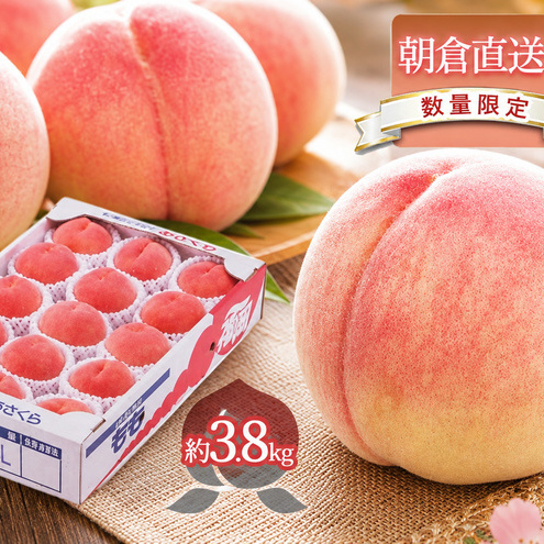 [数量限定] 桃 もも モモ 3.8kg 2026年 発送 フルーツ 桃