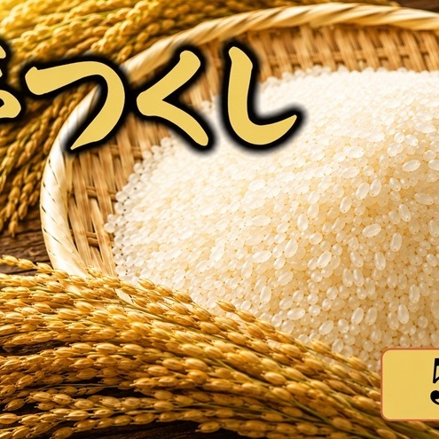 米 夢つくし 5kg 筑前あさくら農協 お米