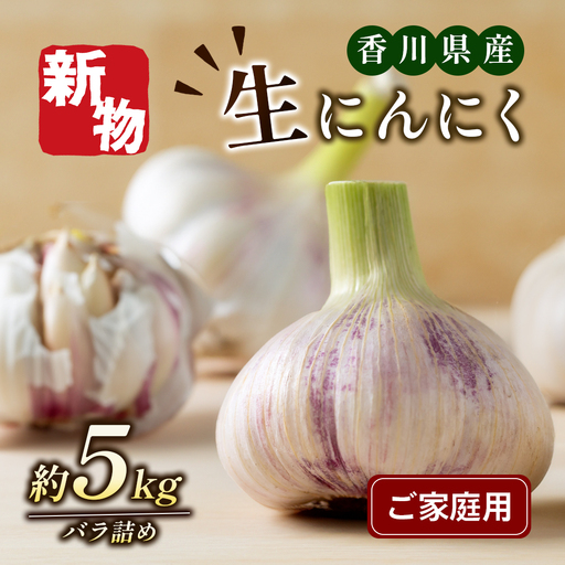 にんにく 生 家庭用 不揃い 香味野菜 にんにく【約5kg バラ詰め】 【46312206】