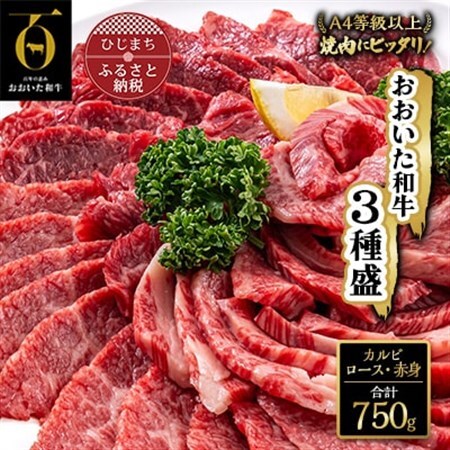 おおいた和牛 焼肉にピッタリ!牛肉の3種盛(カルビ・ロース・赤身)(合計750g)_牛肉  肉  和牛  おおいた和牛  国産牛  霜降り  お肉  食べ比べ  赤身  焼肉_【配送不可地域：離島】【1089360】