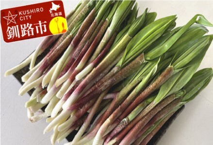 釧路産・天然 鮮度そのまま行者にんにく 100g×2