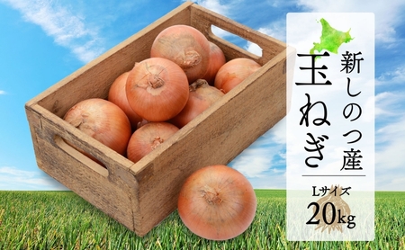 北海道 新しのつ産 玉ねぎ Lサイズ 約20kg オホーツク222 北もみじ2000 玉葱 たまねぎ オニオン 旬 スープ サラダ 農作物 野菜 冬野菜 根菜 常温 カレー 肉じゃが 大きい 5キロ 国産 北海道産 長期保存