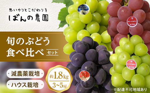 ぶどう 2026年 先行予約 旬のぶどう食べ比べセット 約1.8kg 3〜5房 減農薬/ハウス栽培 ブドウ 葡萄 岡山県産 国産 フルーツ 果物 ギフト ばんの農園 マスカット