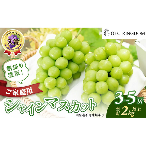ぶどう 2026年 先行予約 ［ご家庭用］ シャイン マスカット3～5房（合計2kg以上） ブドウ 葡萄  岡山県産 国産 フルーツ 果物 OEC KINGDOM ぶどう家 果物類 