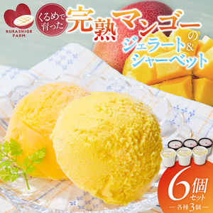 [2027年7月お届け]完熟マンゴーのジェラート&シャーベット130ml×6個入り_完熟 マンゴー ジェラート シャーベット セット 130ml × 6個 各3 高糖度 果肉 使用 地植栽培 アイス デザート ご褒美 冷凍 トロピカルフルーツ 果物 国産 倉重農園 グルメ お取り寄せ お取り寄せグルメ 福岡県 久留米市 送料無料 〔Dw012〕