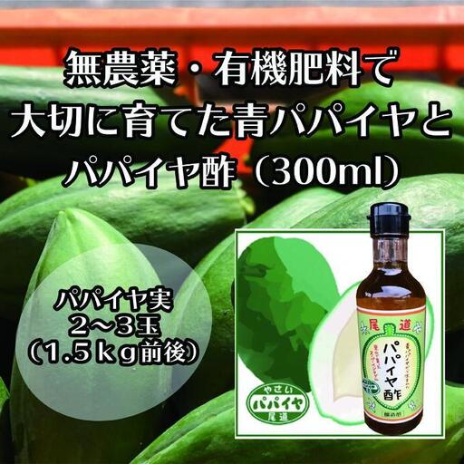 【先行予約】無農薬・有機肥料で大切に育てた パパイヤ 2-3玉 1.5キロ前後（栽培期間中農薬不使用）と パパイヤ酢300mlのセット　2026年9月発送