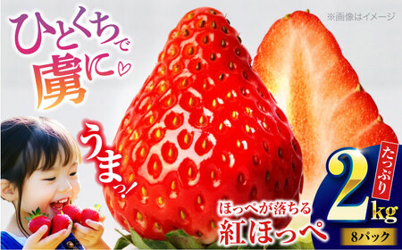 いちご （約2kg）いちご 紅ほっぺ [AGBN027]