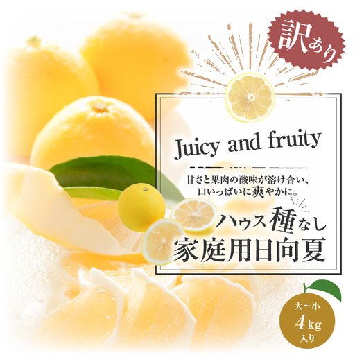 日向夏 種無し 日向夏[訳あり 4kg 2027年発送先行予約]