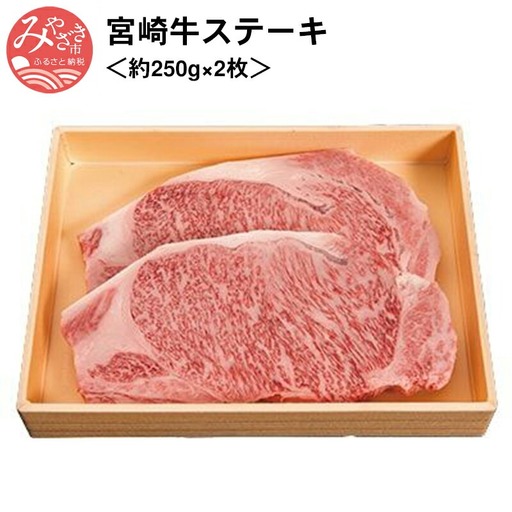 牛肉 ステーキ 牛肉[宮崎牛 500g]