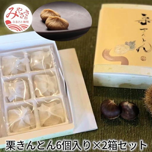 栗きんとん6個入り×2箱セット 栗きんとん 2箱 12個 栗 きんとん 栗餡 栗あん 秋 菓子 お菓子 和菓子 個包装 冷凍 スイーツ ギフト お取り寄せ