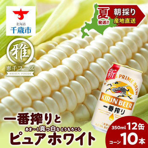 2026年夏発送 キリン一番搾り 350ml 12缶&白いとうもろこしピュアホワイト10本